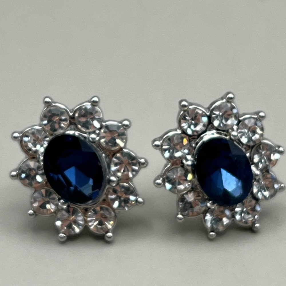 Elegant Silver and Blue Stud Earrings